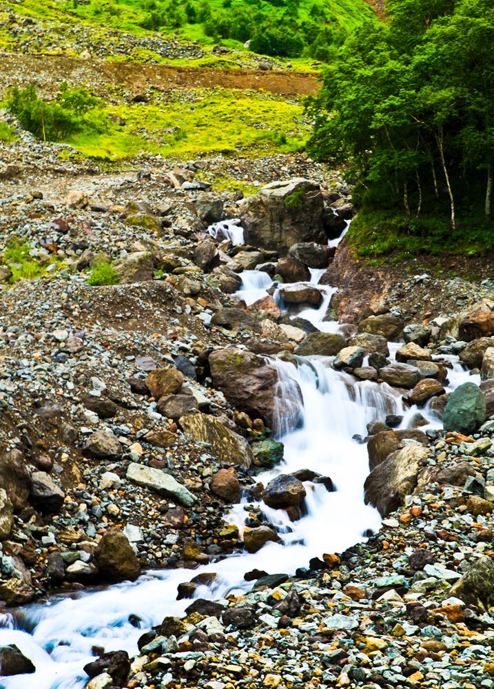 IMG_4100.JPG