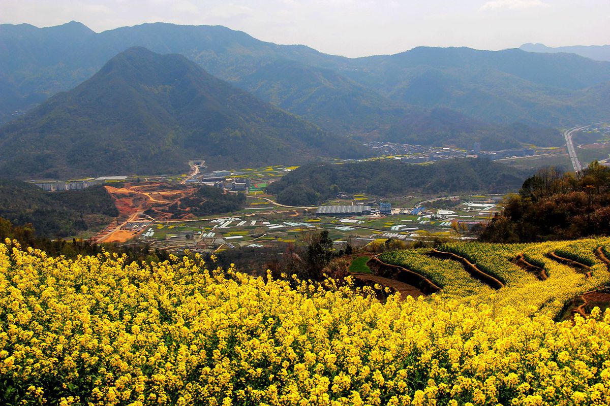 IMG_9344_副本_副本.jpg