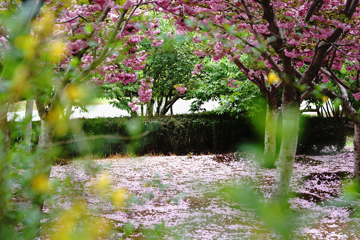 DSC02811_副本.jpg