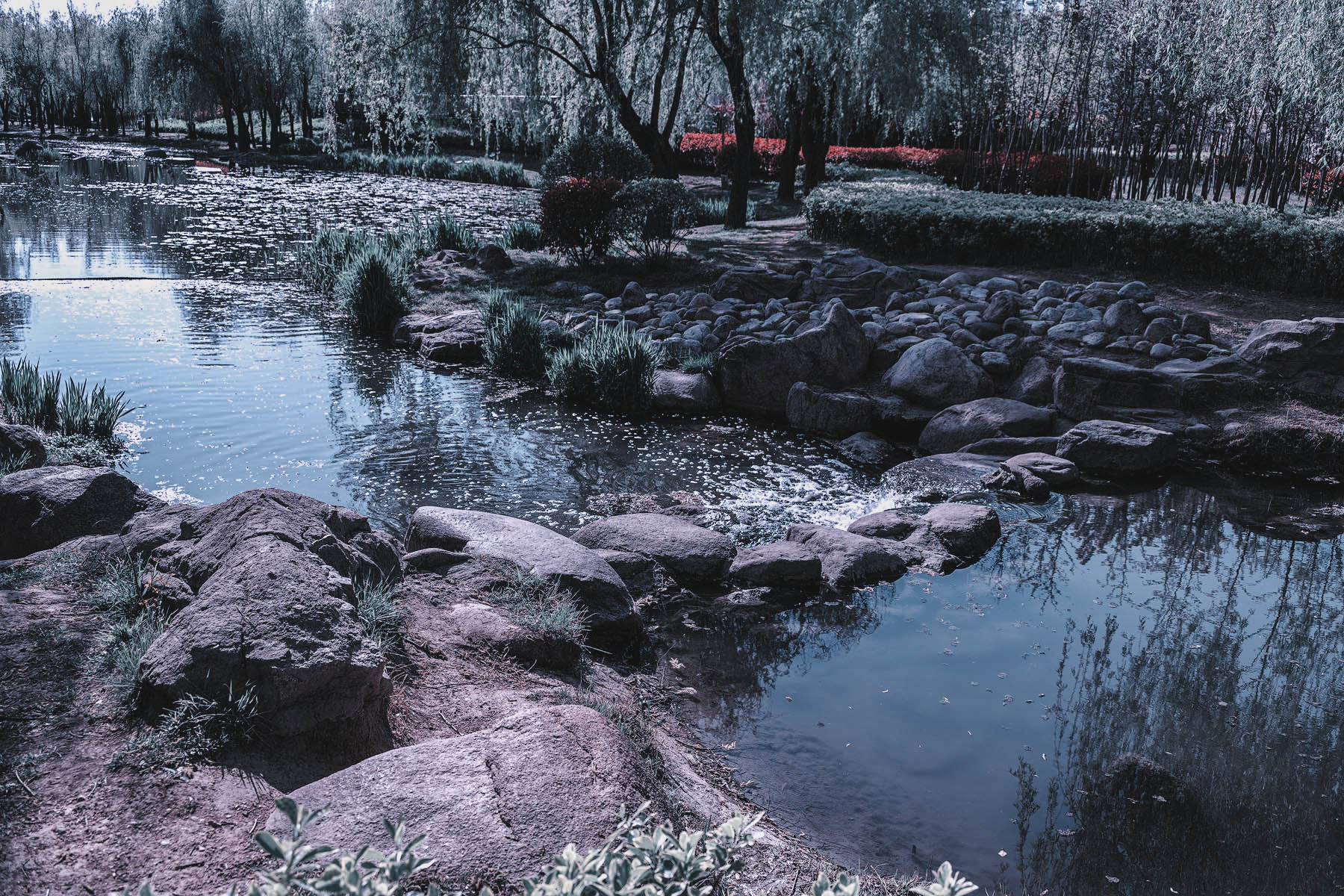 DSC_2168-1-2.jpg