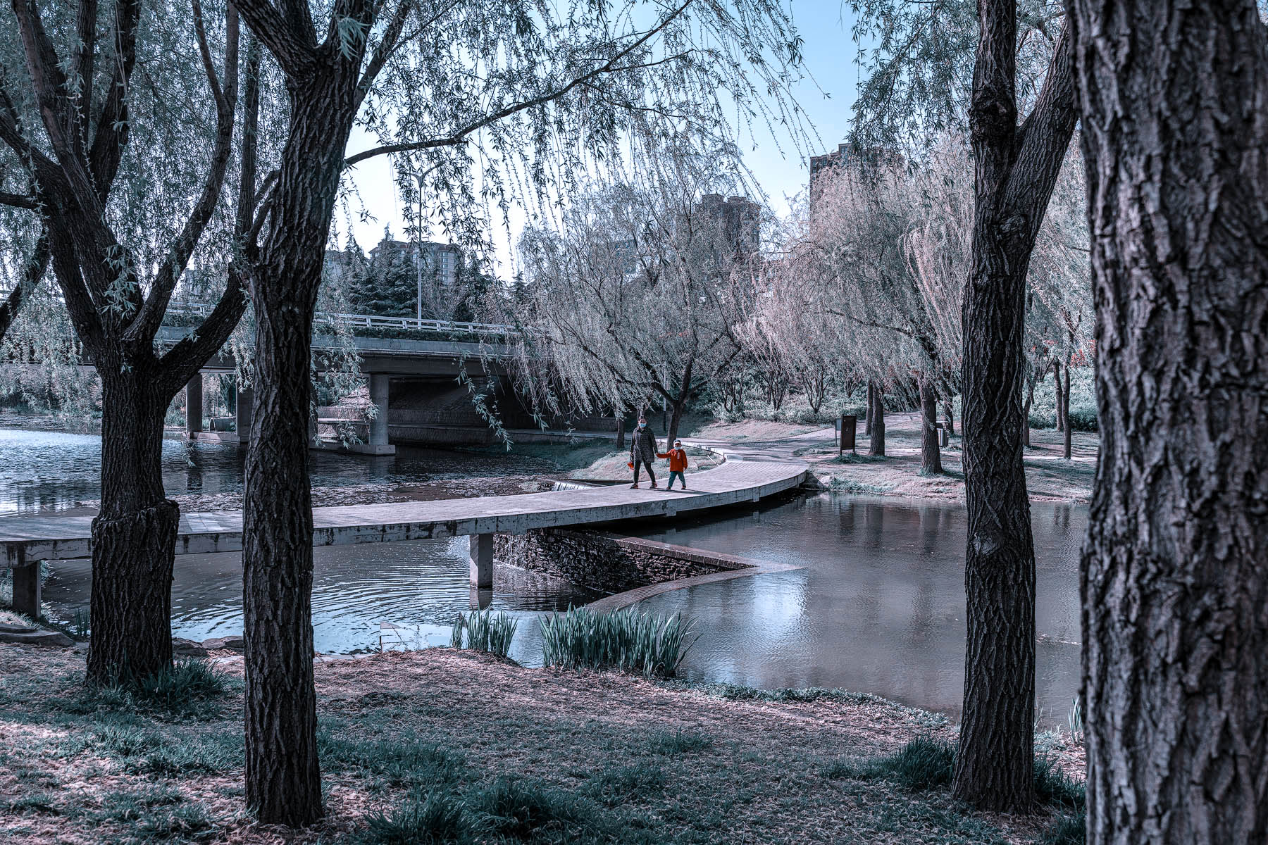 DSC_2191-1-2.jpg
