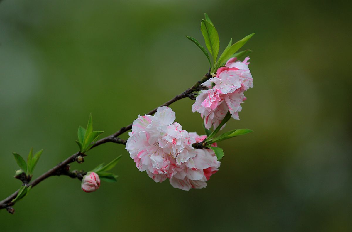 IMG_9992_副本.jpg