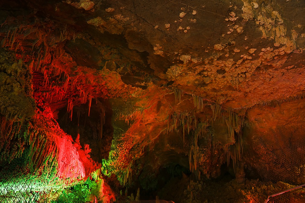 DSC_0176.jpg