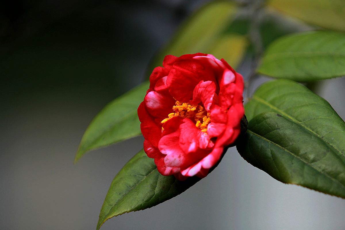 IMG_6910_副本.jpg