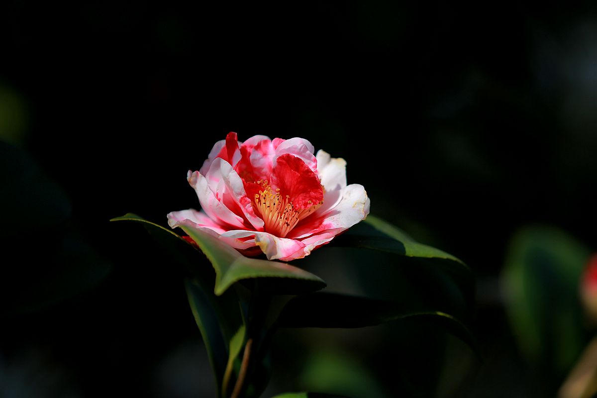 IMG_7925_副本.jpg