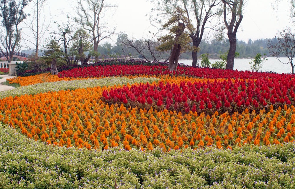 DSCF0877.JPG
