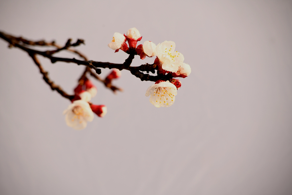 DSC_7720_副本.jpg