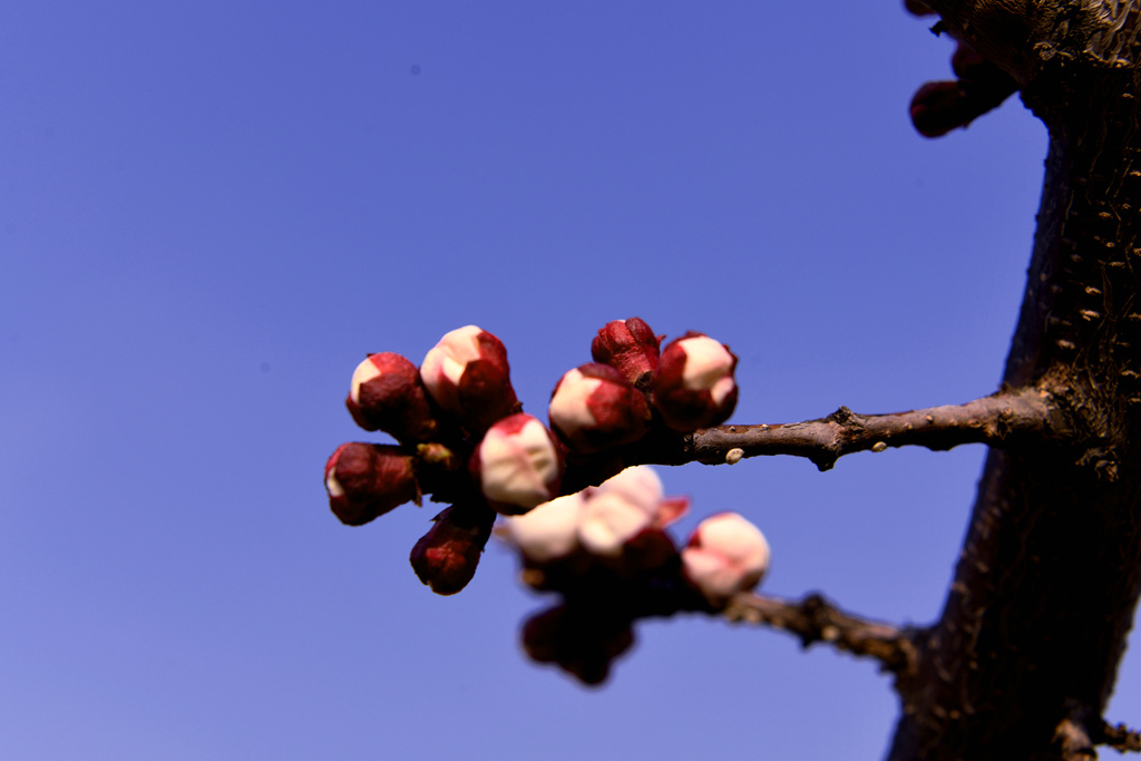DSC_7661_副本.jpg