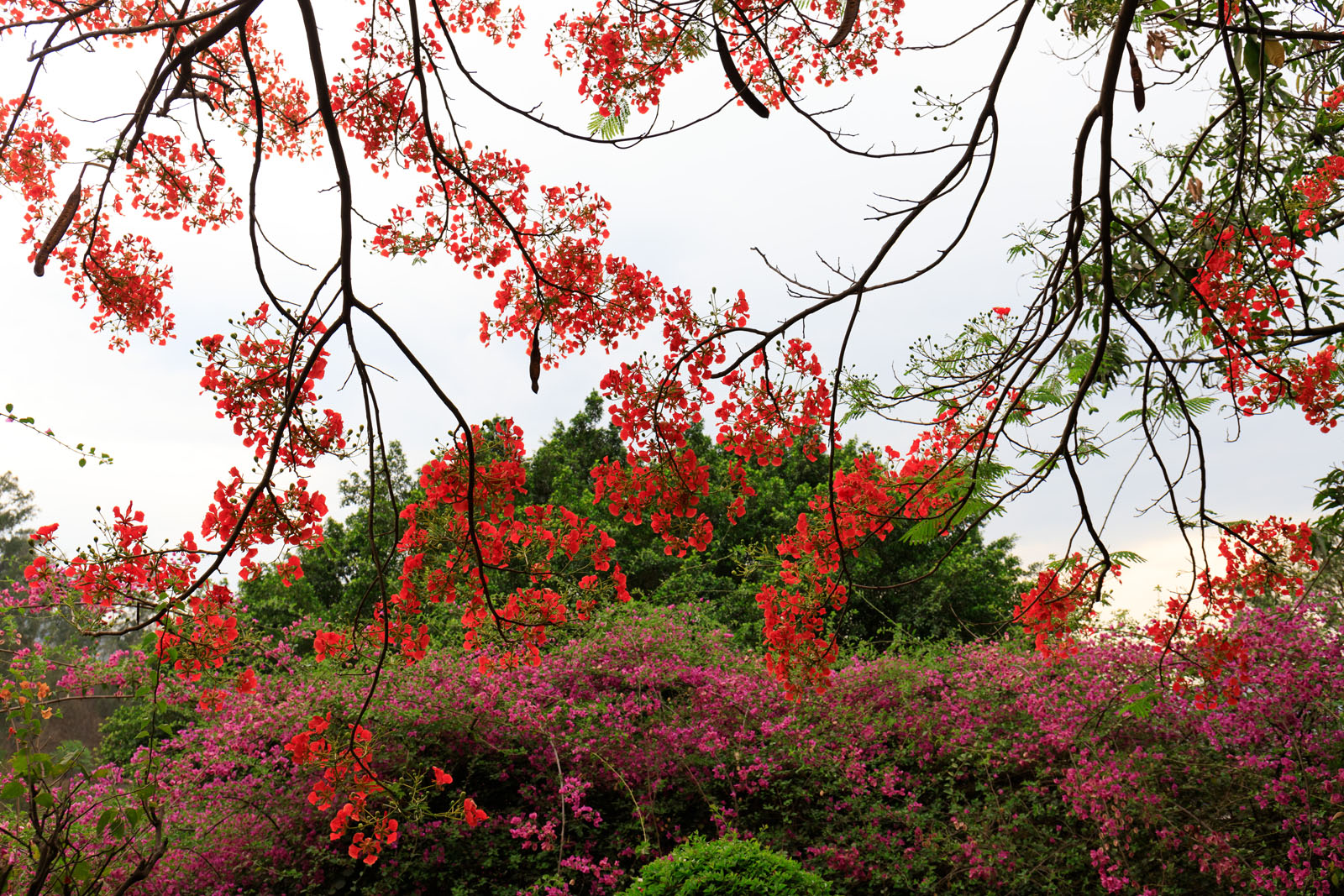 _MG_0784.jpg