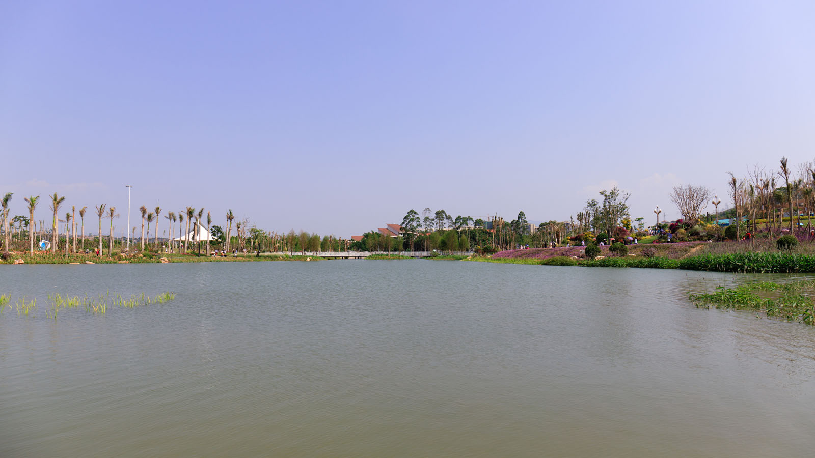 _MG_0866.jpg