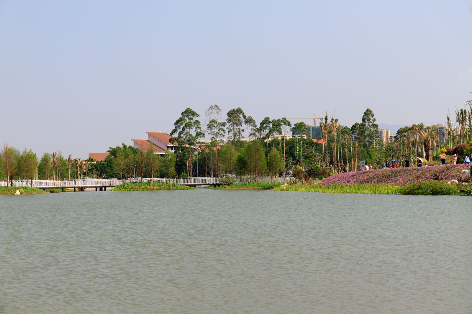 _MG_0867.jpg