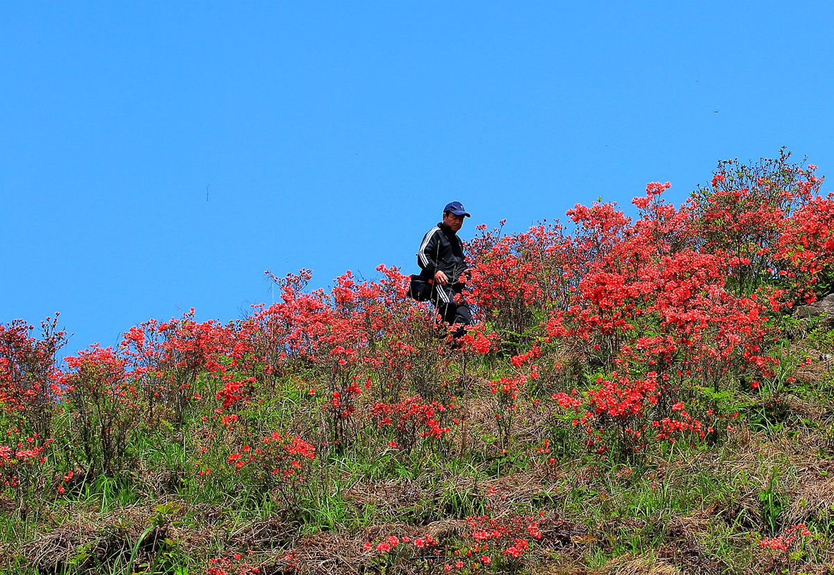 IMG_0934_副本_副本.jpg