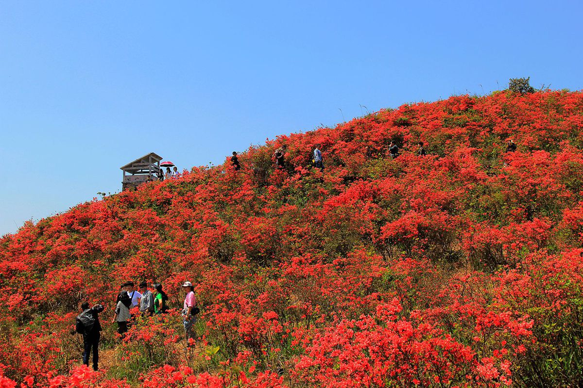 IMG_0999_副本_副本.jpg