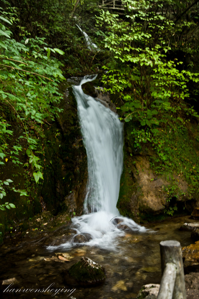 IMG_4928.JPG