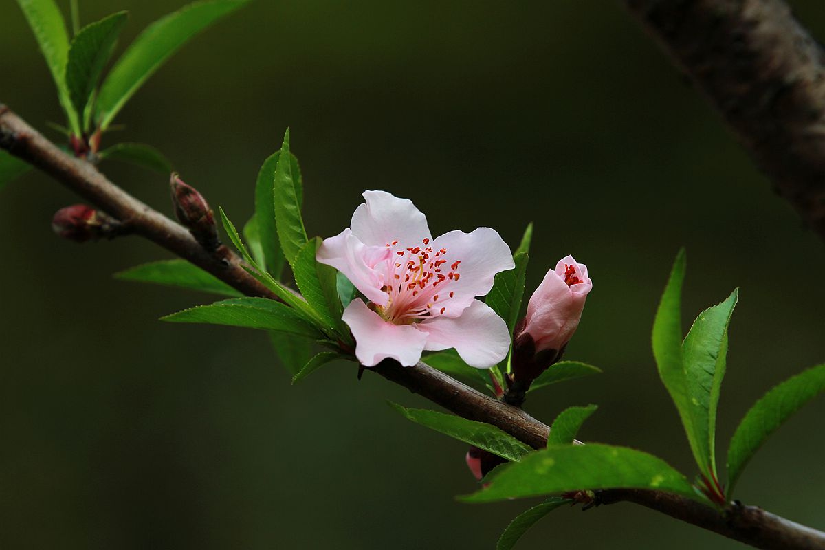 IMG_9553_副本.jpg