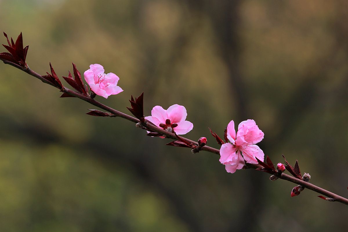 IMG_9574_副本.jpg