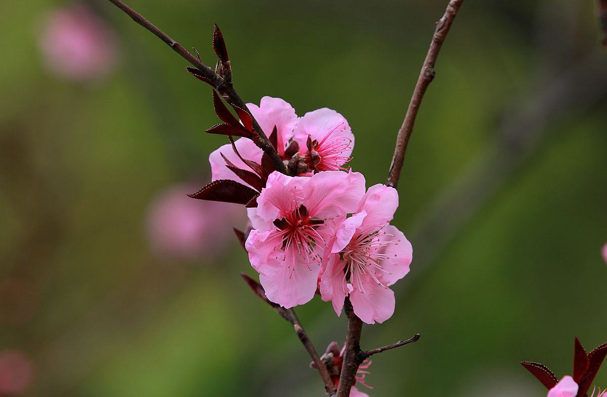 IMG_9576_副本.jpg