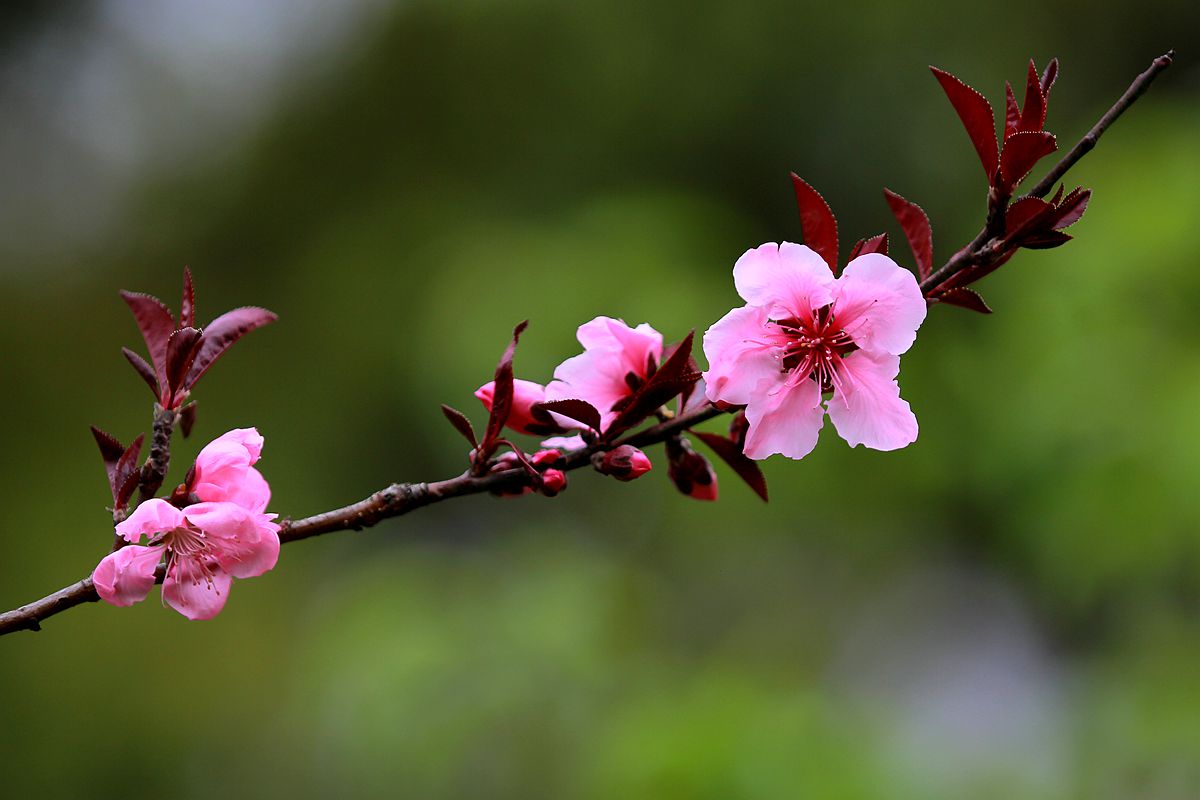 IMG_9937_副本.jpg