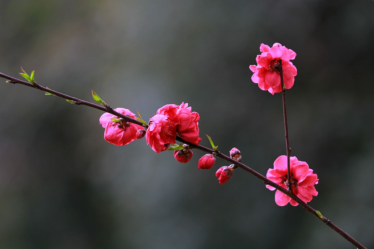 IMG_9941_副本.jpg