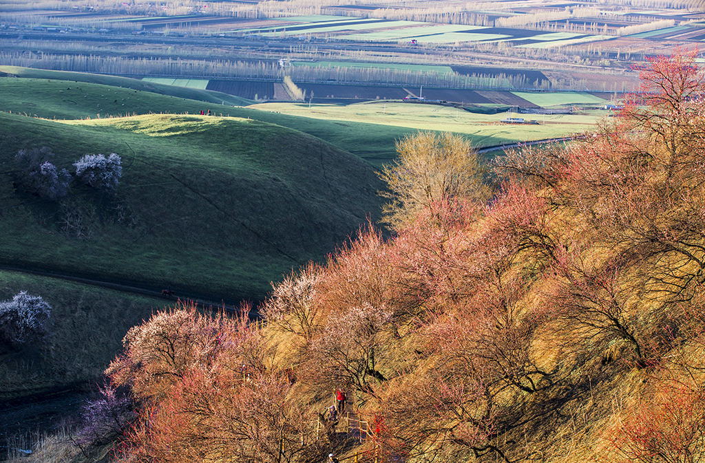 _54A1422_1.jpg