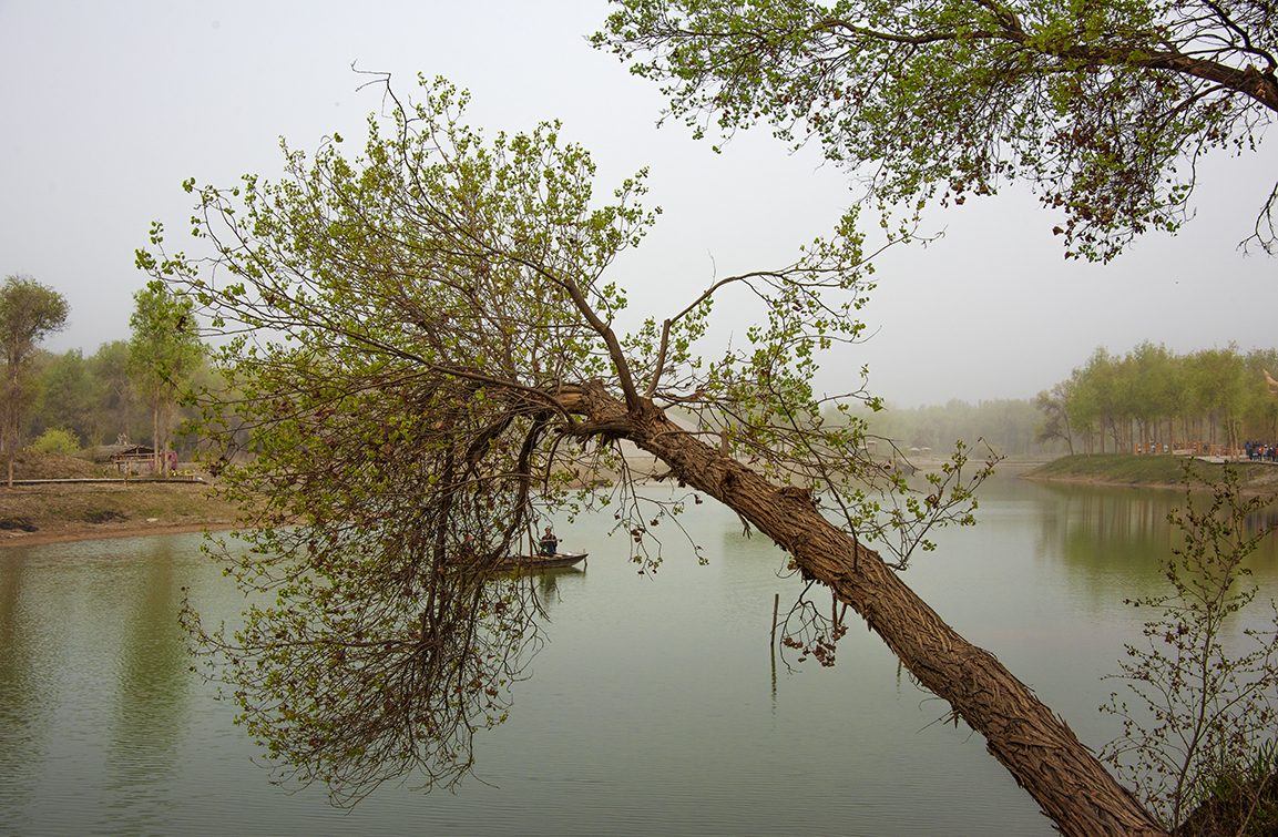 DSC50.jpg