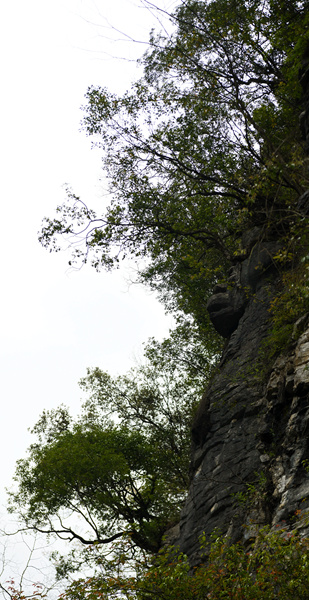 DSC_0113_副本.jpg