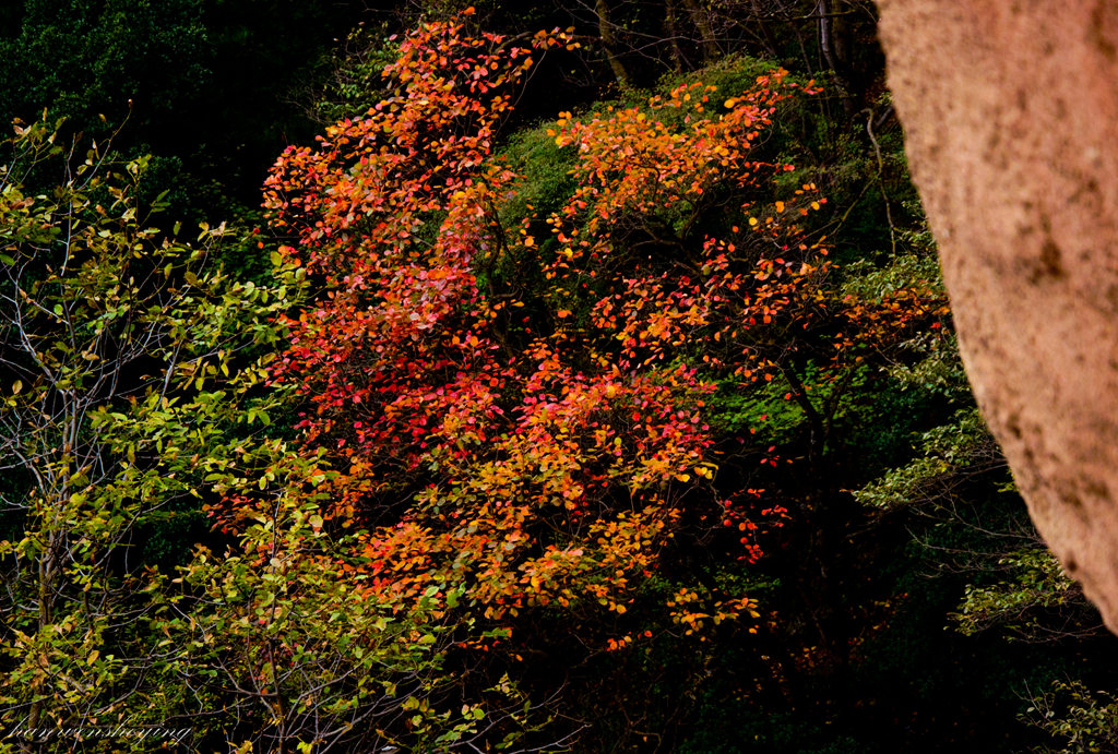 DSC_0064.JPG