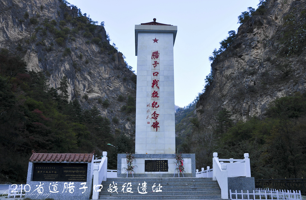 DSC_0140.JPG