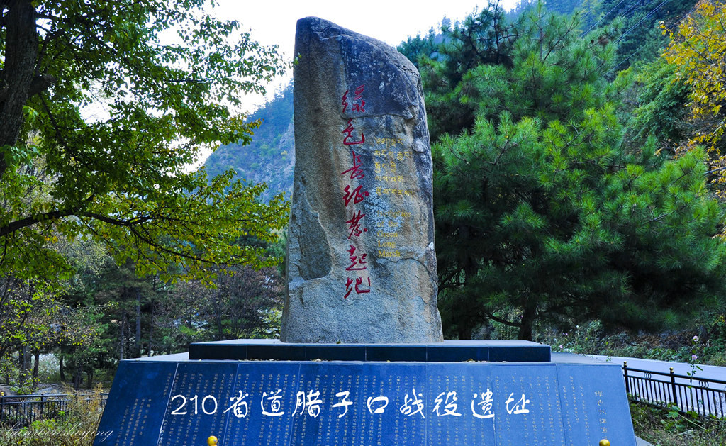 DSC_0138.JPG