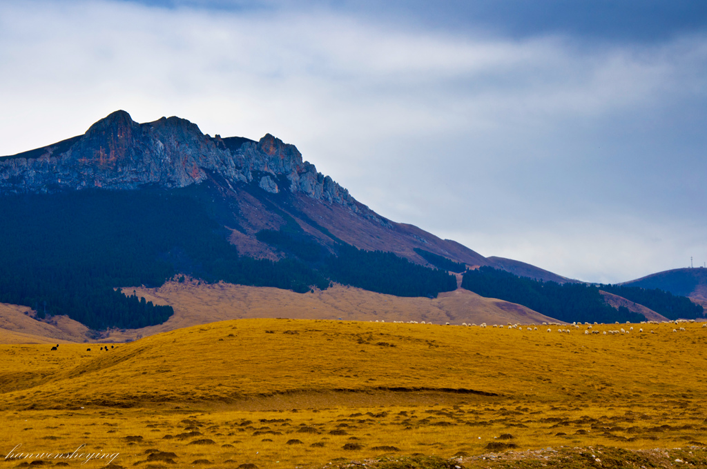 DSC_0160.JPG