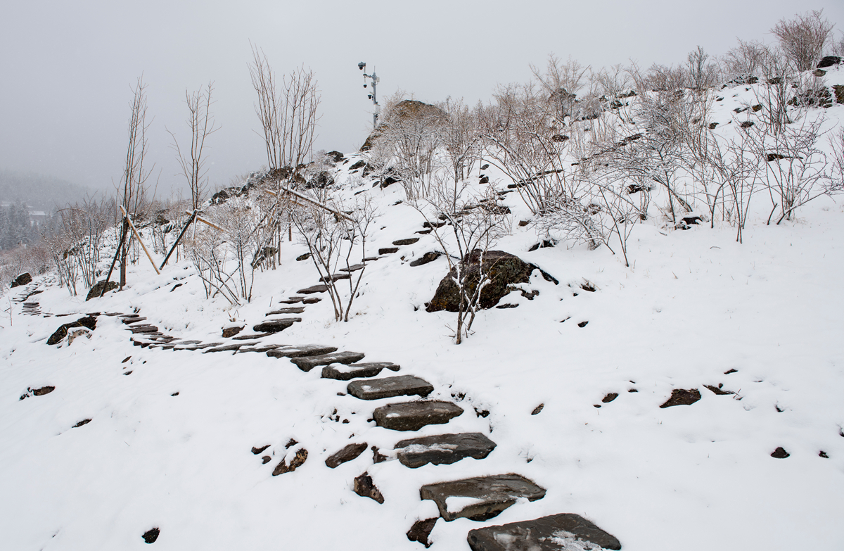 山路段智强1DSC_7542.jpg