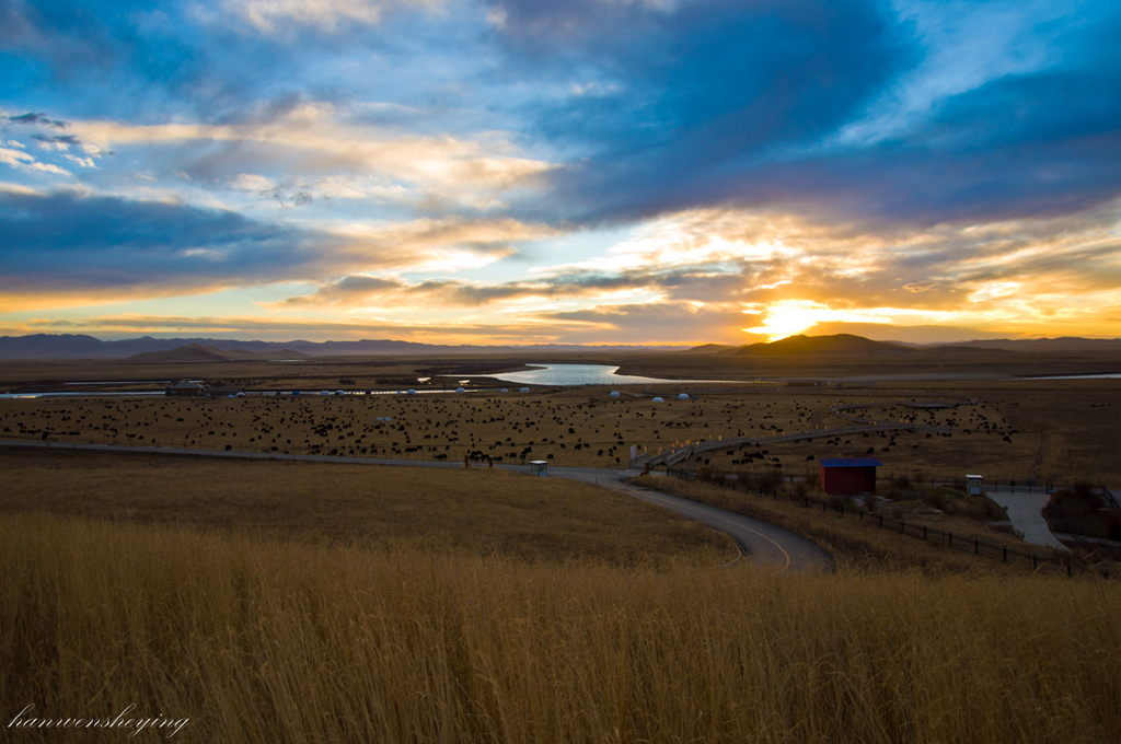 DSC_0164.JPG