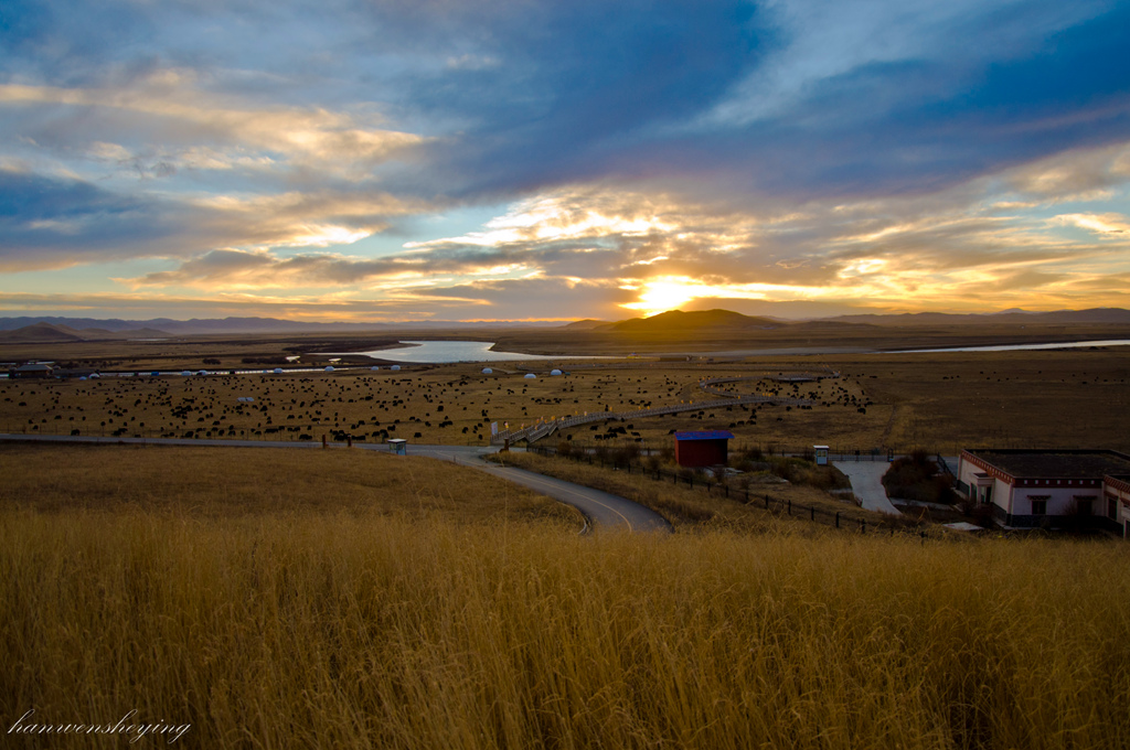 DSC_0163.JPG