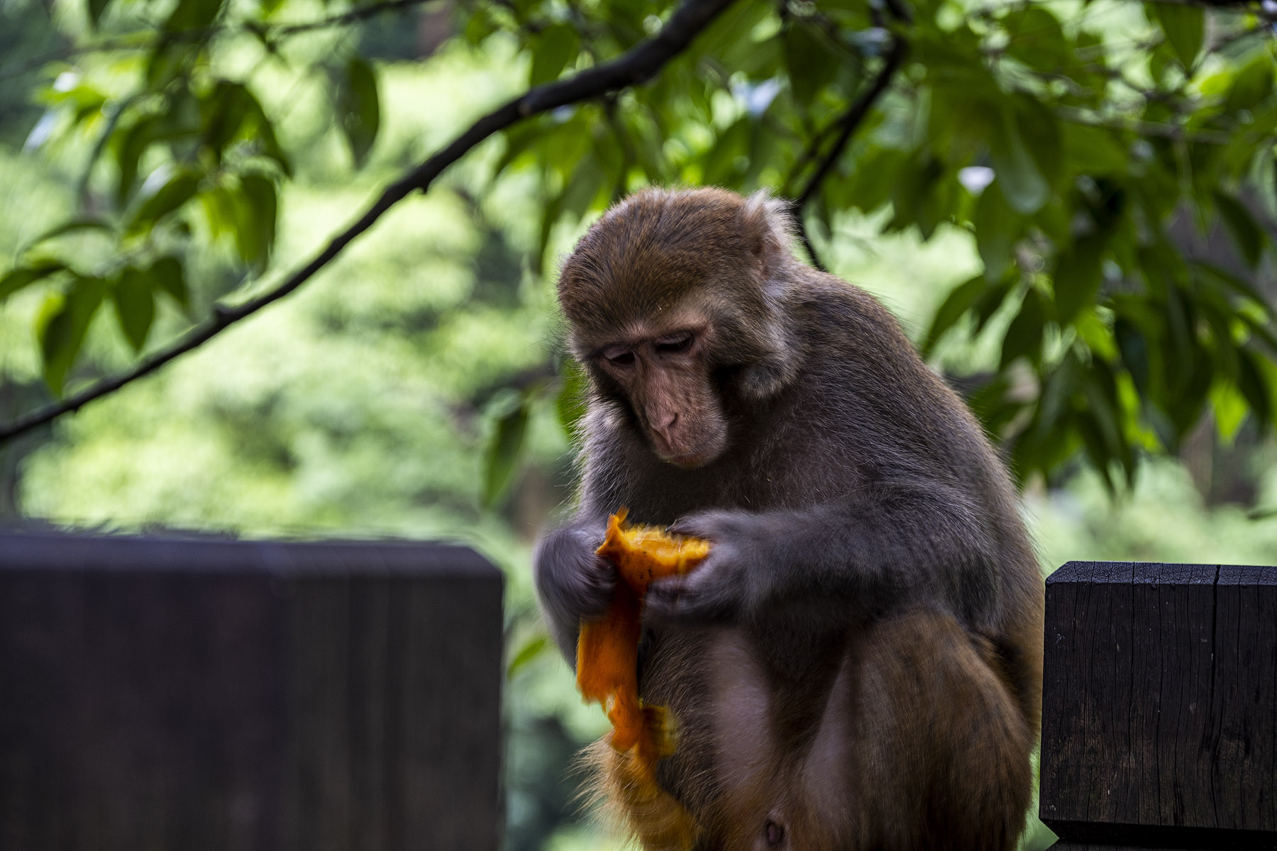 DSC_2782-1.jpg