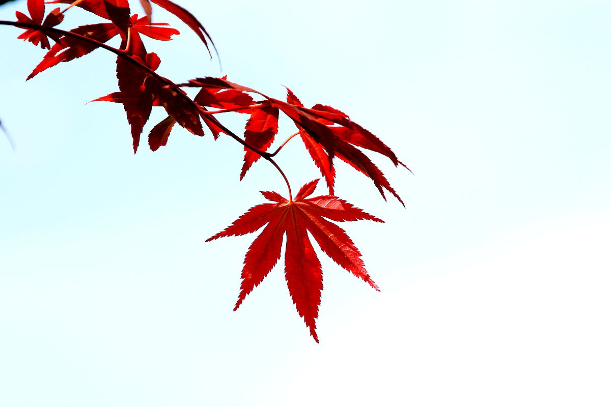 IMG_1682_副本.jpg