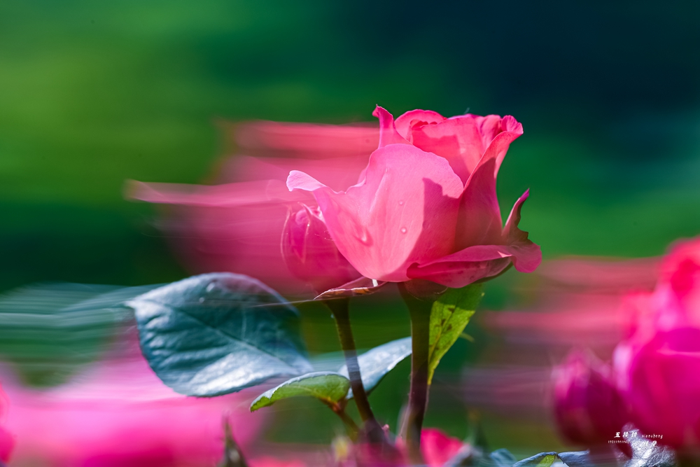 DSC_7476.JPG