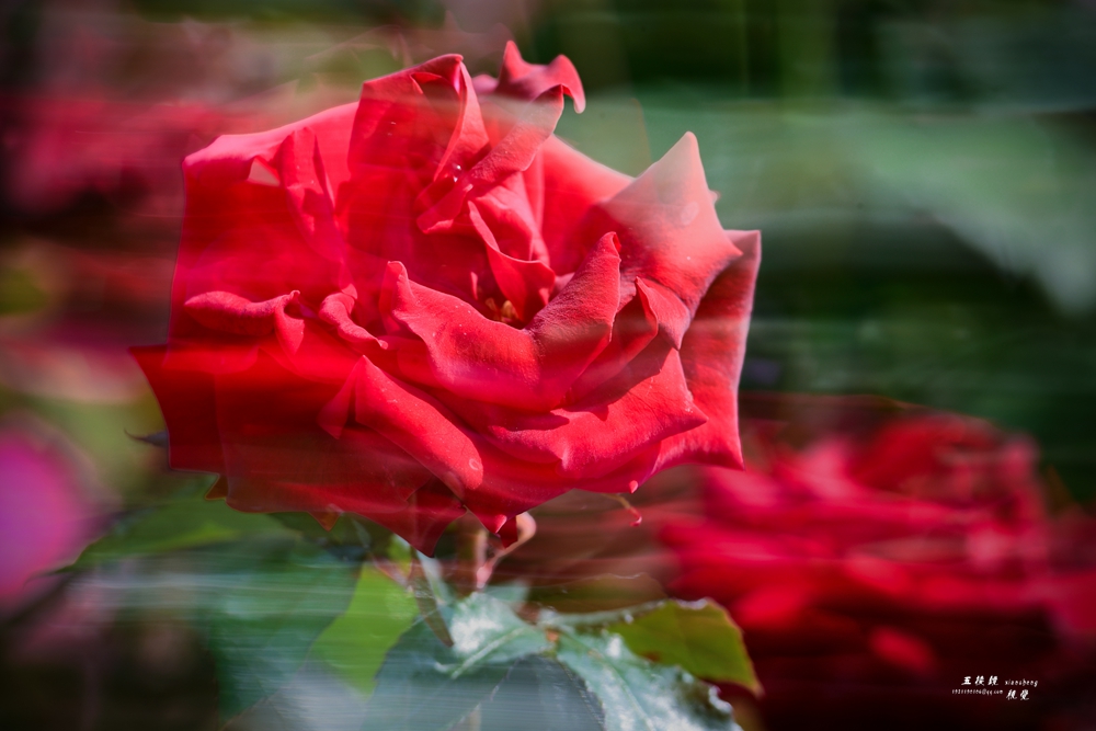 DSC_7479.JPG