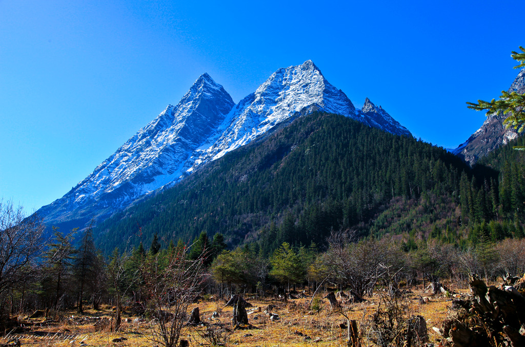 IMG_6649.JPG
