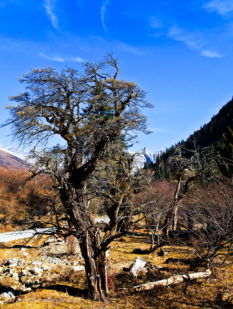 IMG_6646.JPG