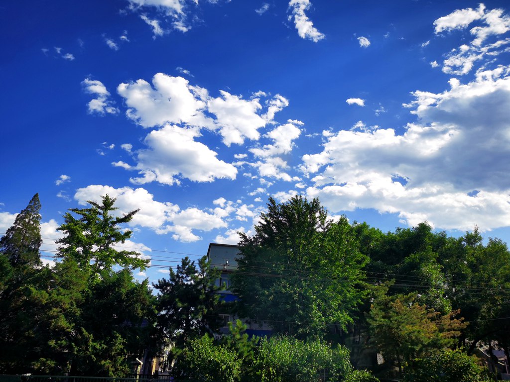 1IMG_20210605_161258_副本.jpg