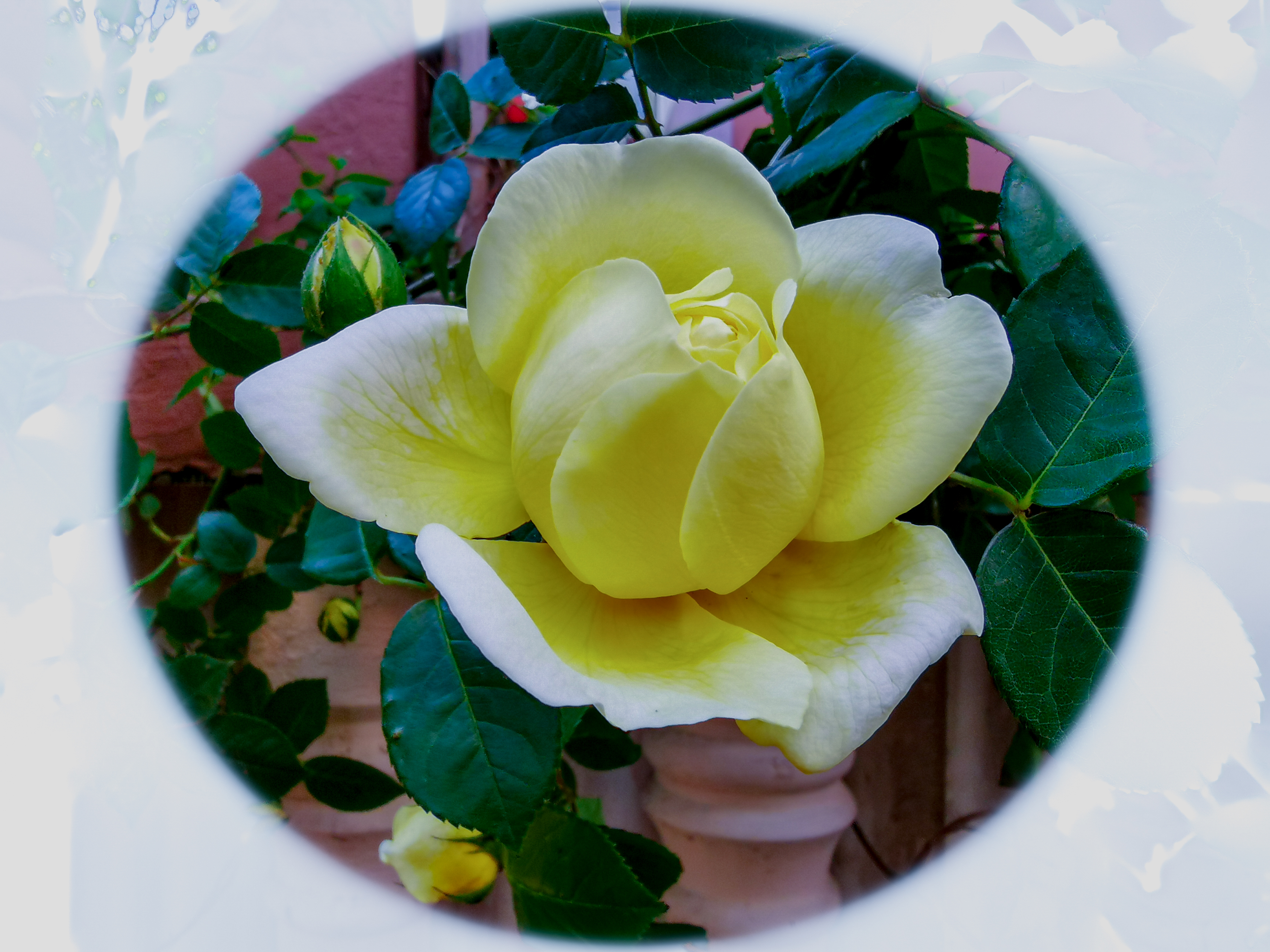 IMG_20210520_162340.jpg