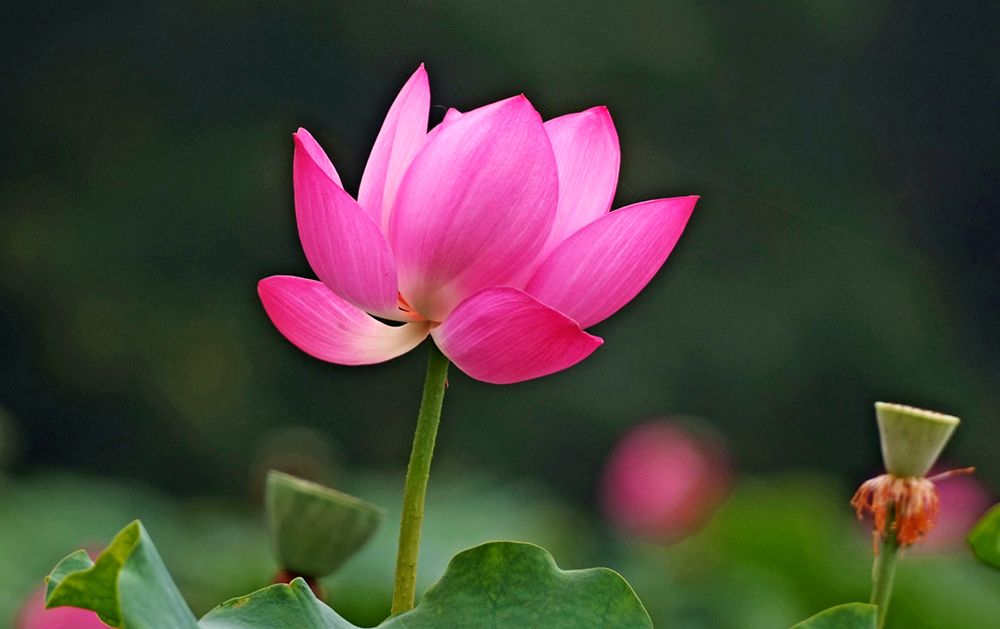 DSCF2945.JPG