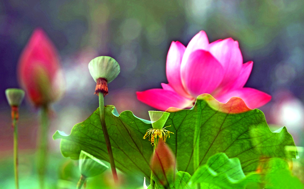 DSCF2984.JPG