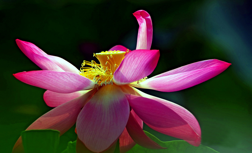 DSCF3295.JPG