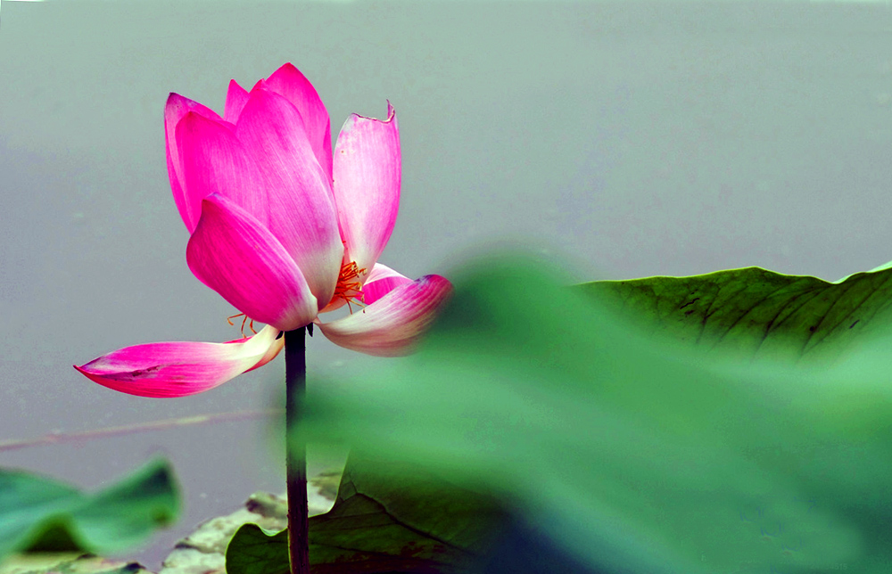 DSCF2869.JPG