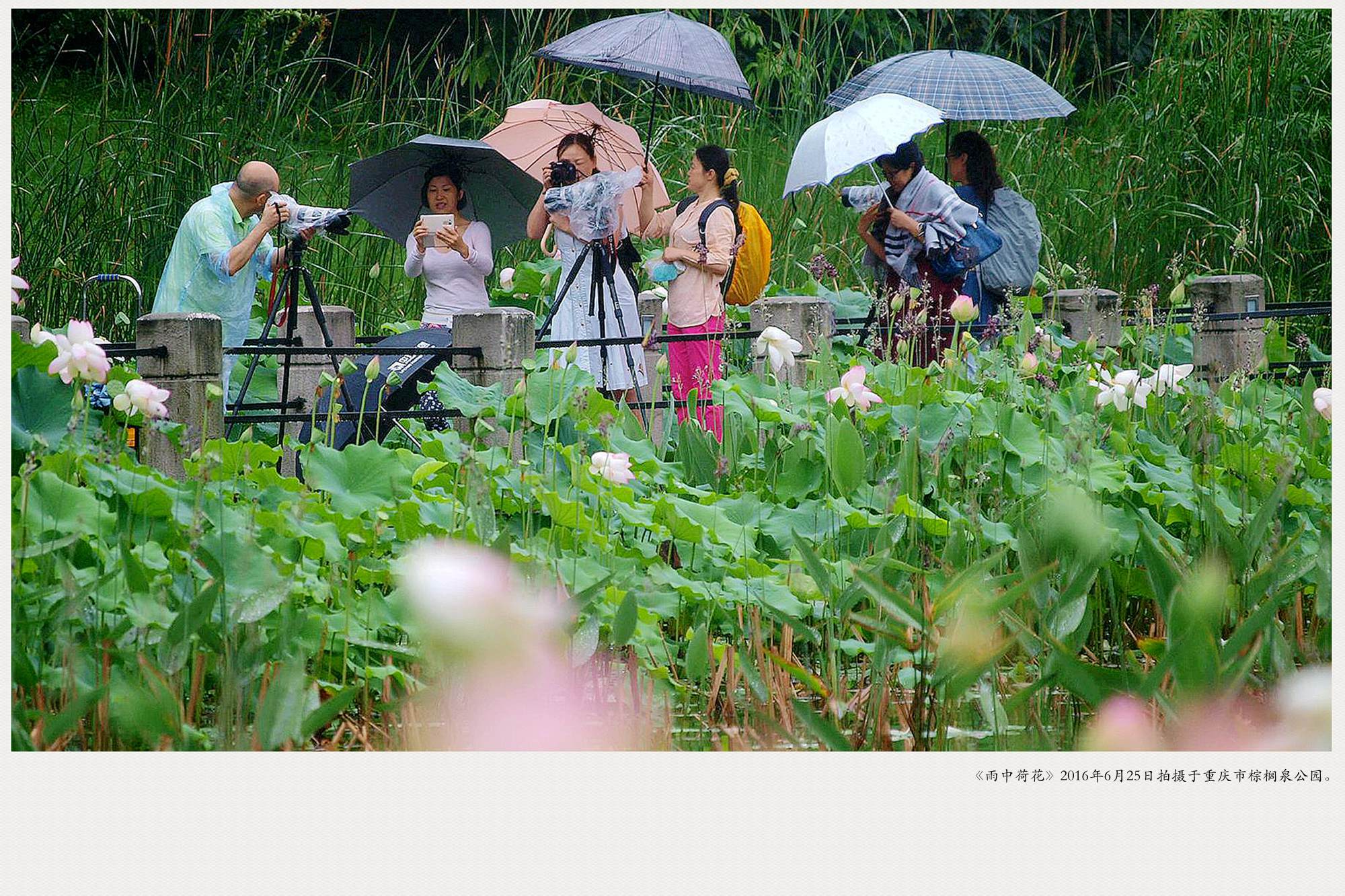 P6259582_副本_副本_副本.jpg