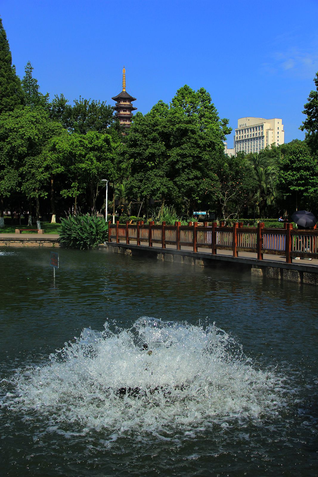 IMG_6015_副本.jpg