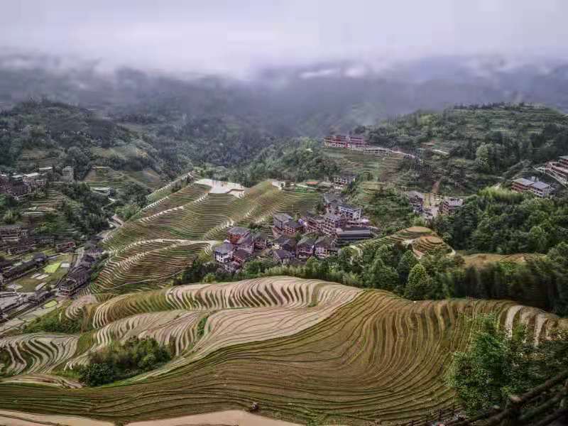 微信图片_20210626192211.jpg