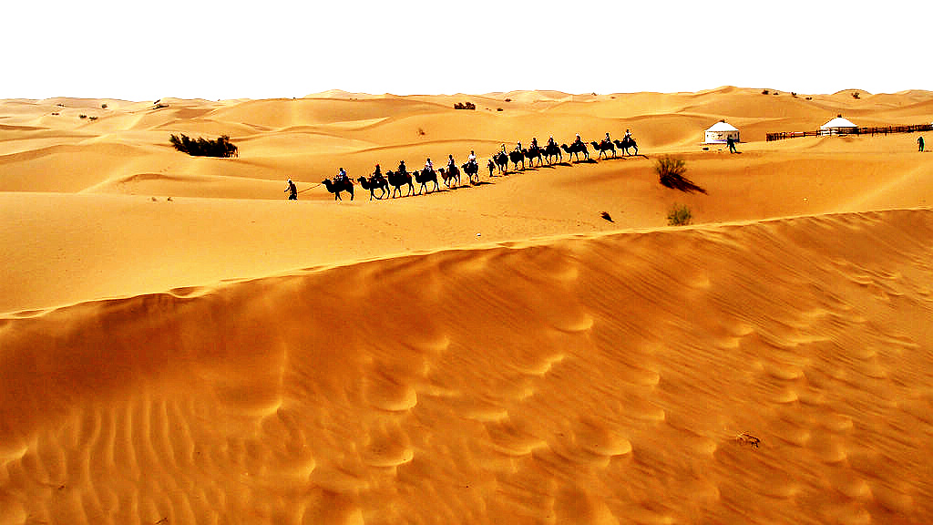 nEO_IMG_腾格里沙漠3.jpg