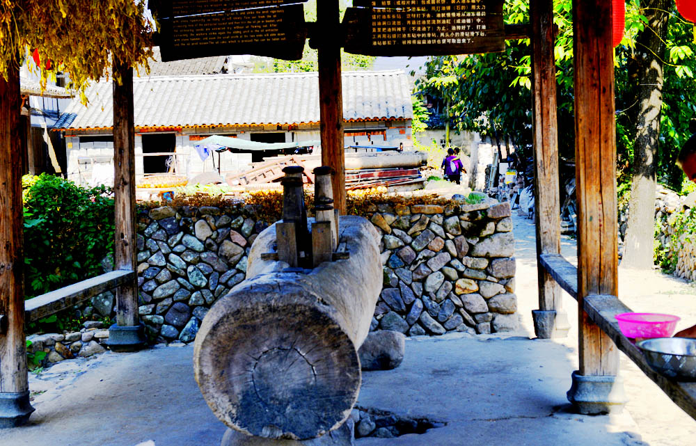 _DSC0188.JPG